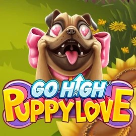 Go High Puppy Love logo by RubyPlay at Stake Casino