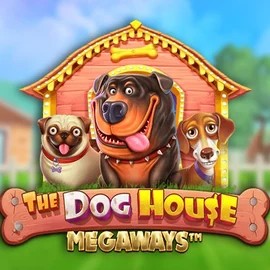 The Dog House Megaways slot icon by Pragmatic Play, available at Stake Casino