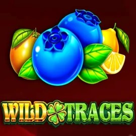 Play the Wild Traces slot by Amusnet Interactive on Stake Casino